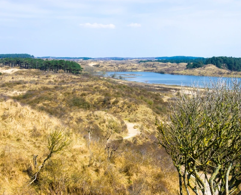 Zuid-Kennemerland National Park