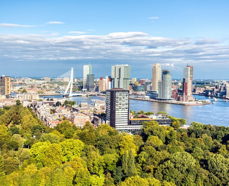 Festivals & Live Events