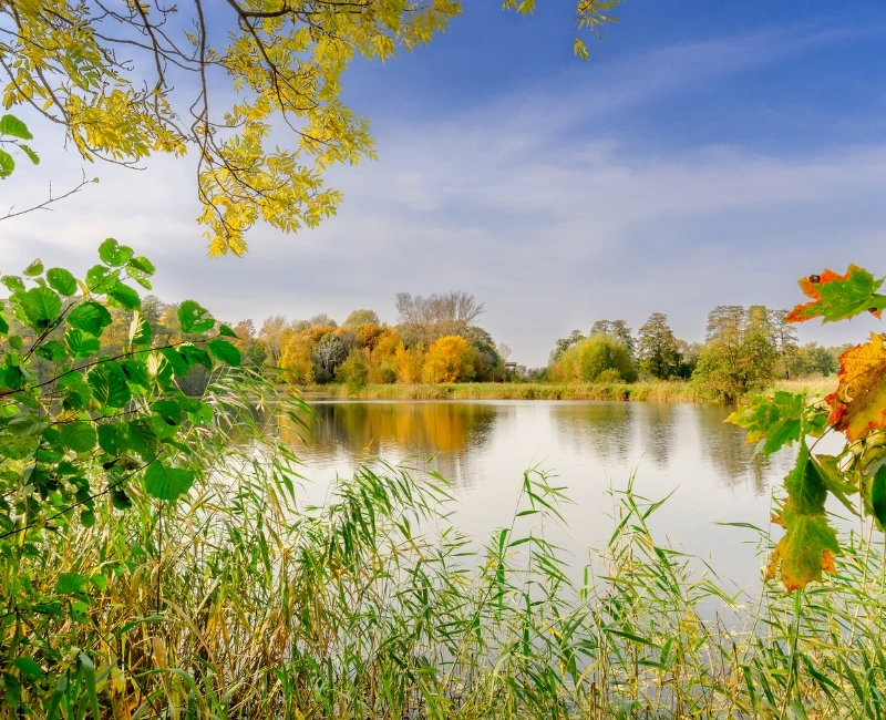 Raszyn Nature Reserve & Wetland Trails