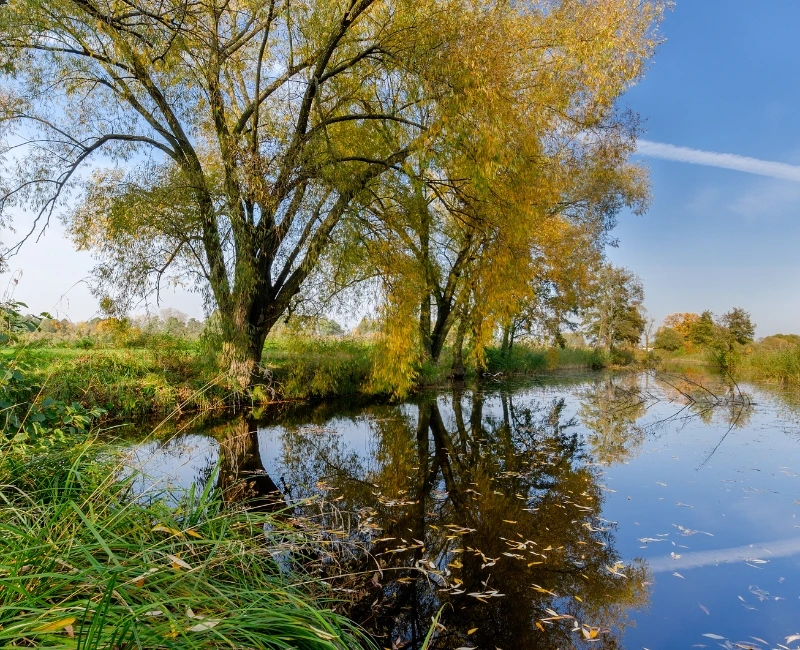 Village Wellness & Relaxation Activities