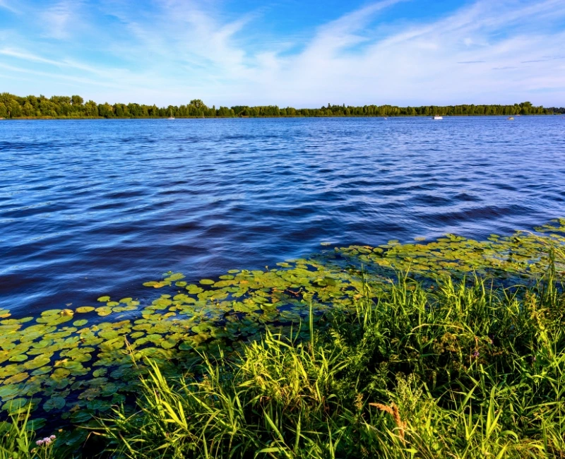 Zegrze Reservoir Adventures