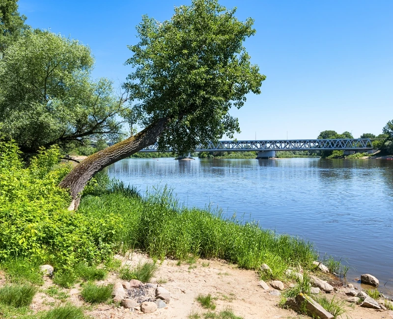 Narew River Exploration