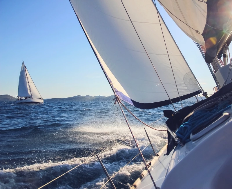 Water Sports and Recreational Cruises