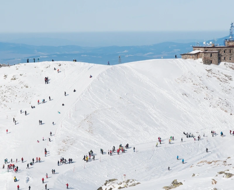 Local Festivals and Events