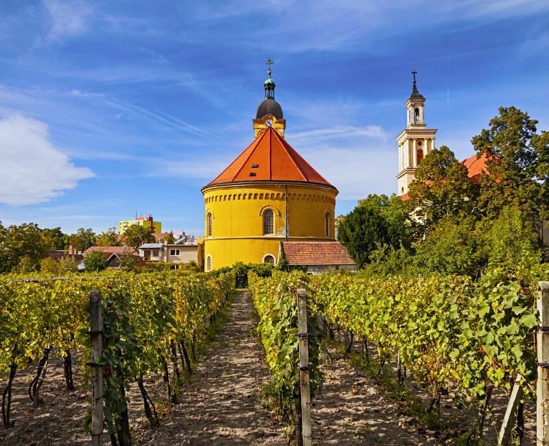 Little Carpathian Wine Route and Spa Towns