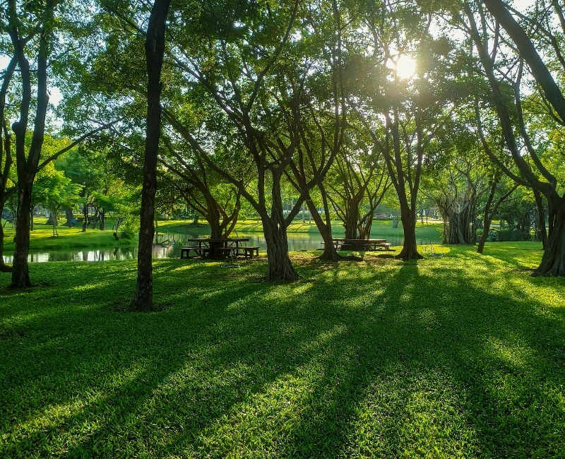 Spa Retreats & Park Escapes