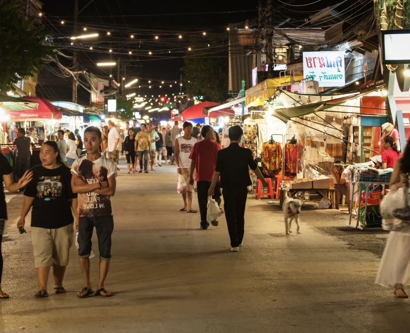 Cultural Workshops & Local Experiences