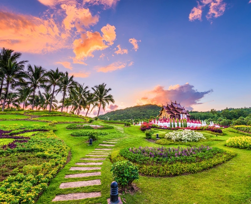 Spa Retreats and Wellness Escapes