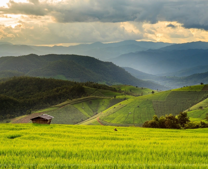 Cafés, Co-Working & Chill Spots