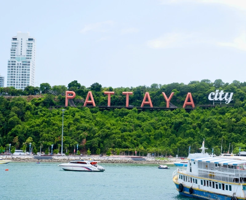 Cabaret and Live Shows