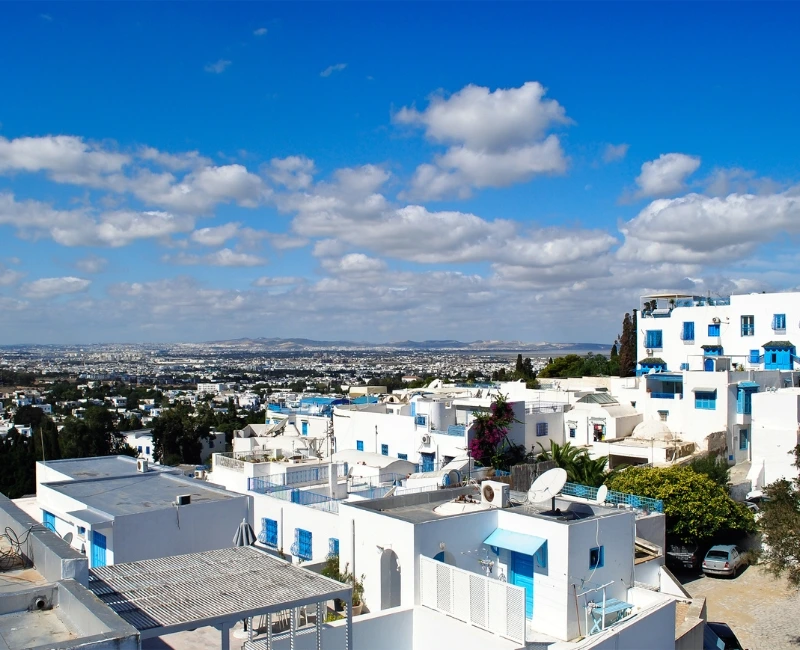 Sidi Bou Said & Mediterranean Elegance