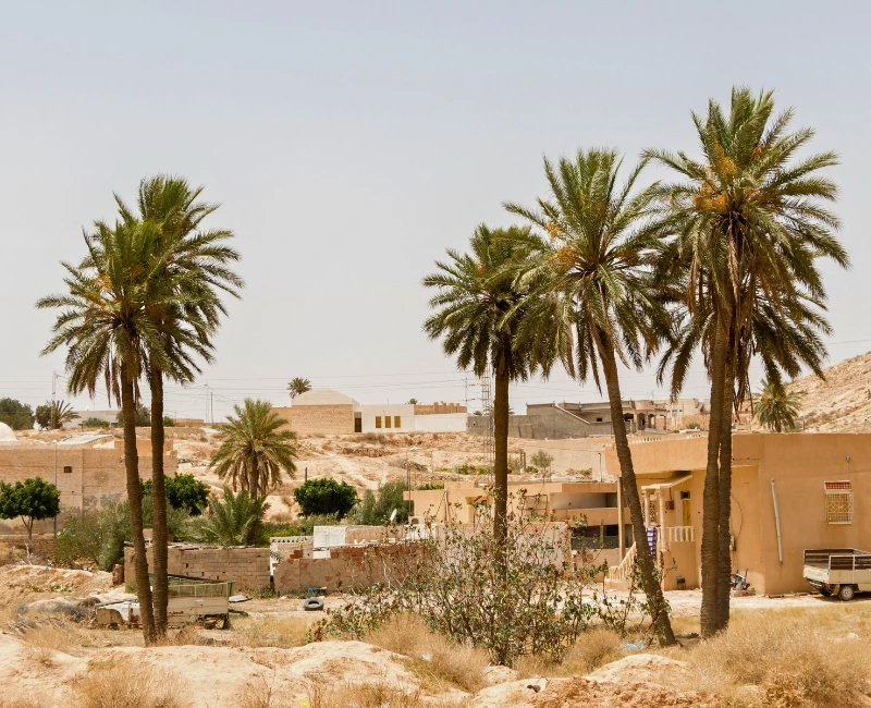 Saharan Adventures & Southern Tunisia