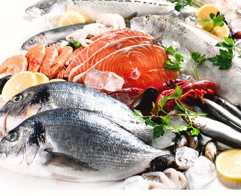 Culinary Journey & Olive Oil Trails