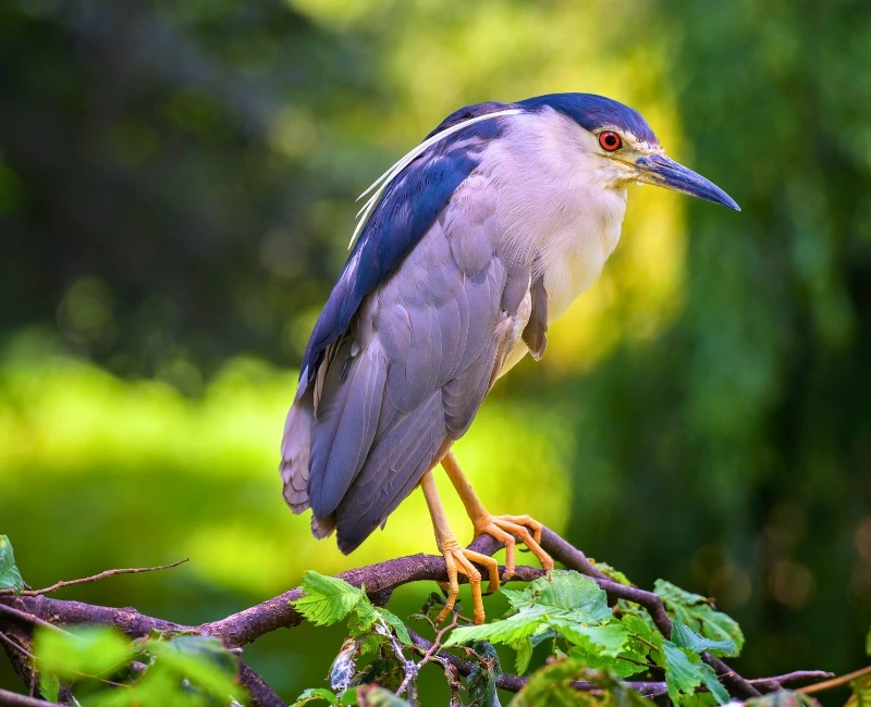 Coastal Nature Trails & Birdwatching