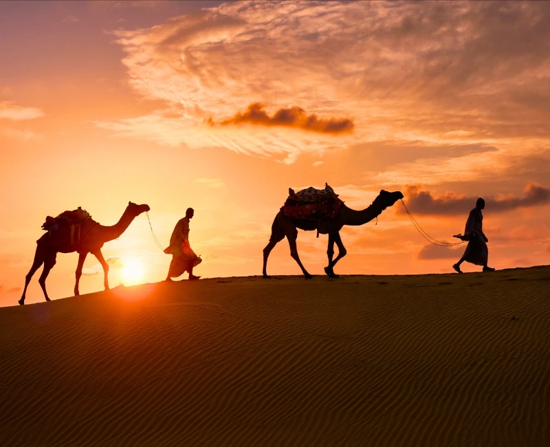 Sunset Cruises & Evening Entertainment