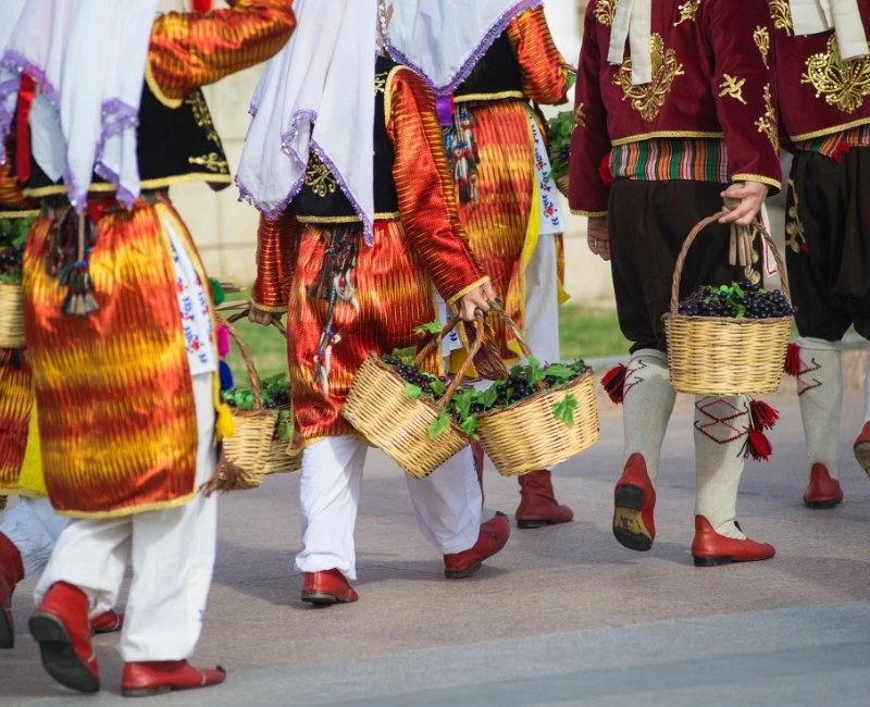 Nightlife & Cultural Evenings