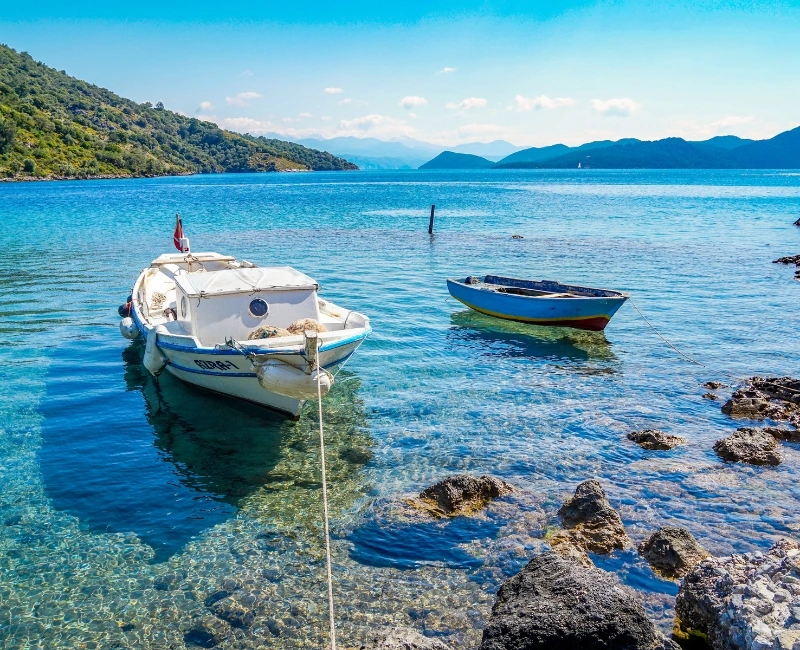 Festivals, Markets & Nightlife