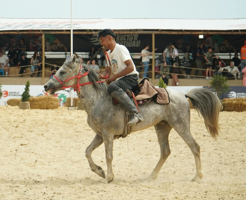 Festivals, Events & Seasonal Highlights