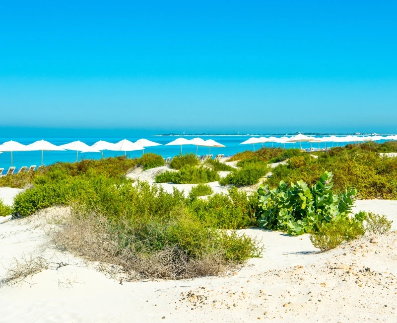 Beach Escapes & Island Retreats