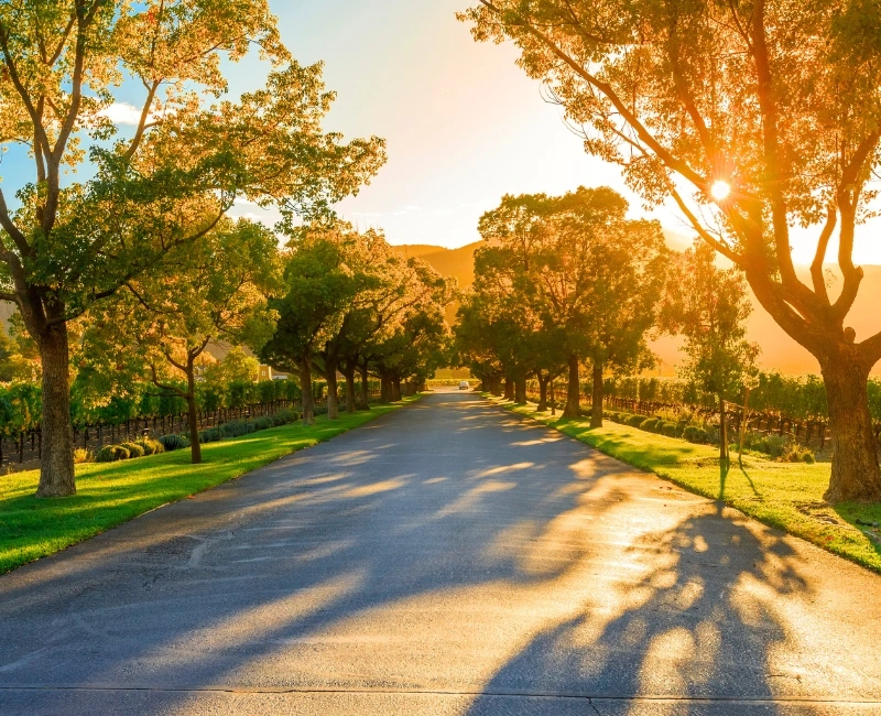 Napa, Sonoma & Wine Country