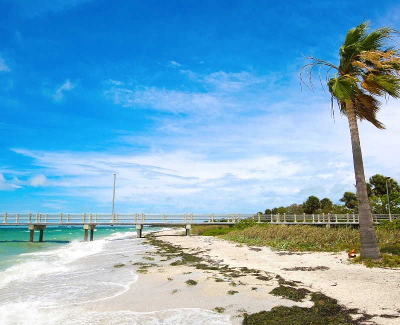 Clearwater & Tampa Bay Beaches