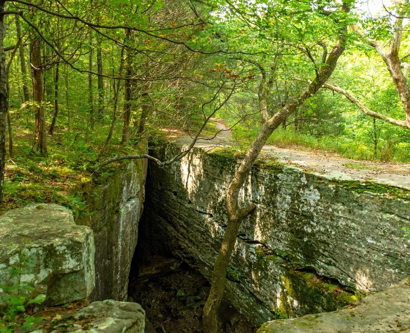 Shawnee National Forest Hiking