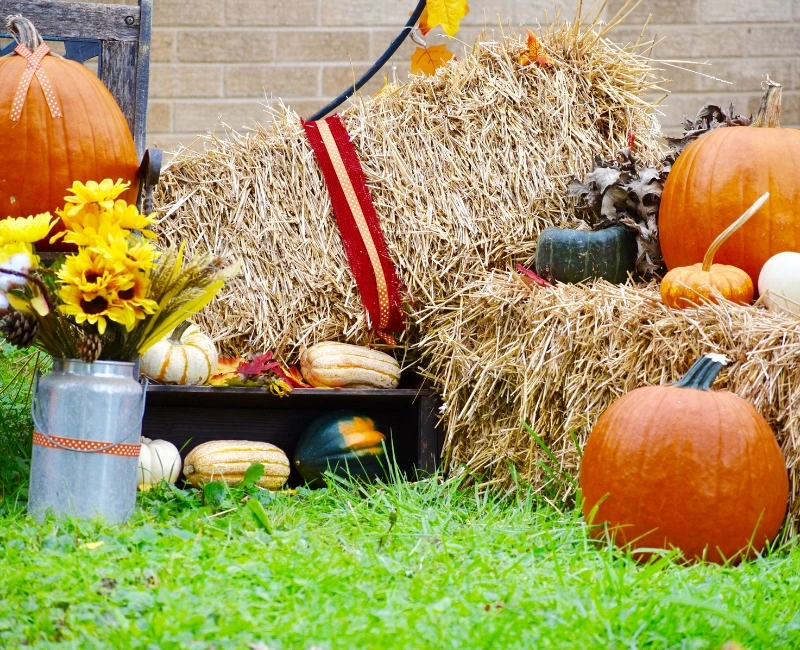 Local County Fairs and Seasonal Celebrations