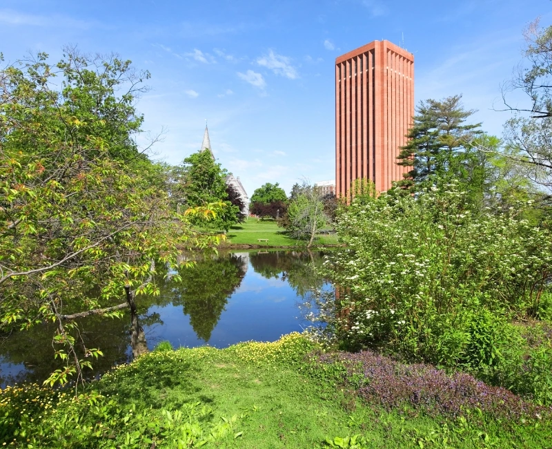 Amherst & the Pioneer Valley’s Academic and Creative Scene