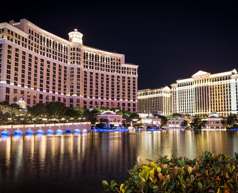 Las Vegas Nightlife & Shows