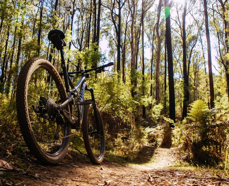 Summer Hiking and Mountain Biking Trails