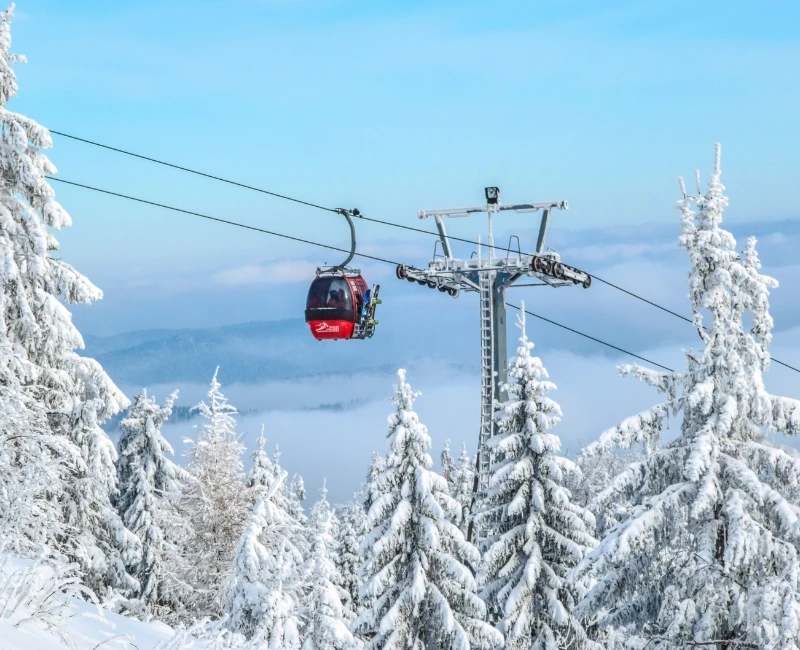 Scenic Cable Car and Panoramic Views