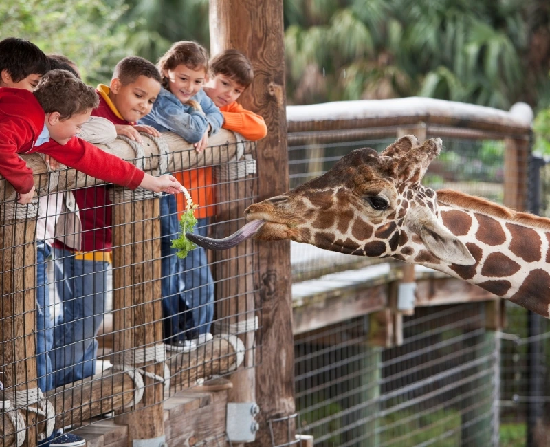 Family-Friendly Attractions and Activities