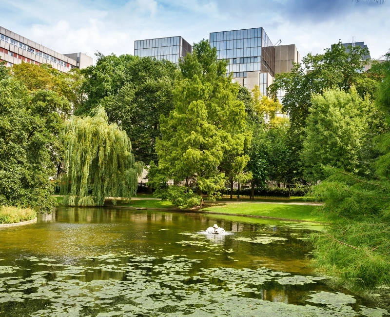 Parks & Green Spaces