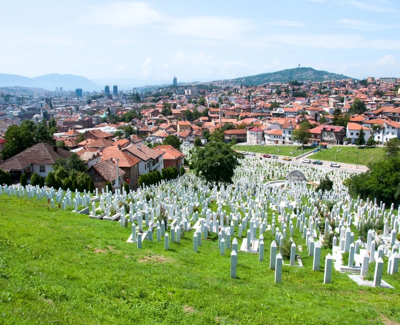 War History and Memorial Tours