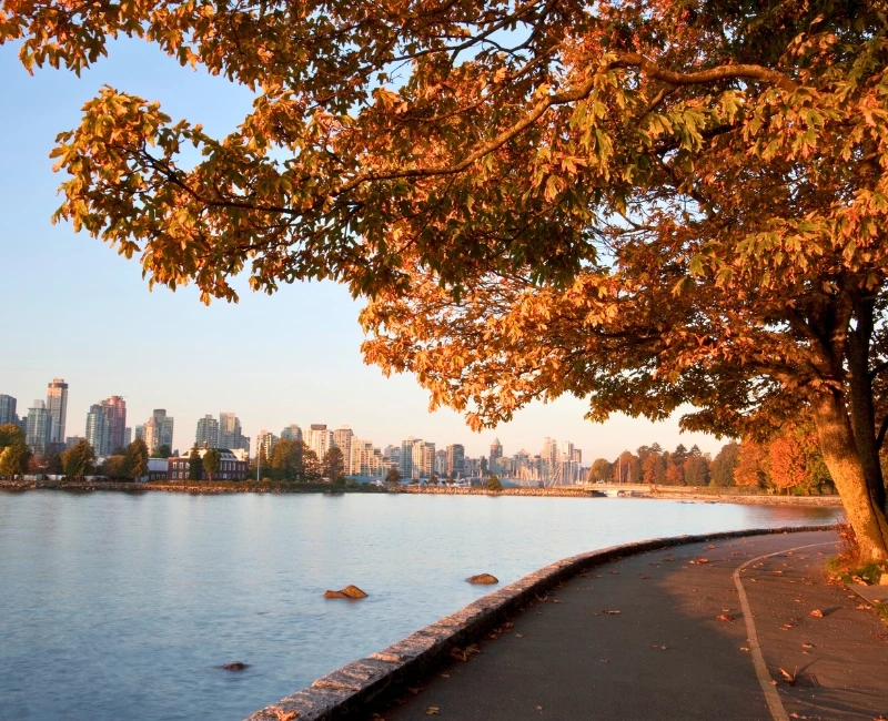 Stanley Park Exploration