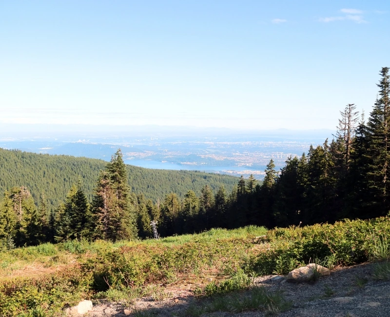 Grouse Mountain Adventures