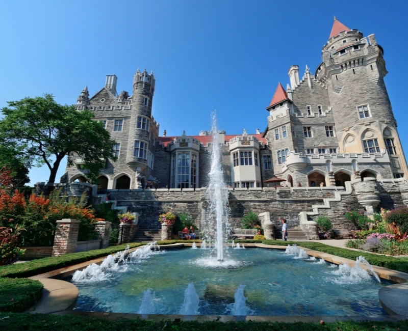 Museum & Gallery Immersion