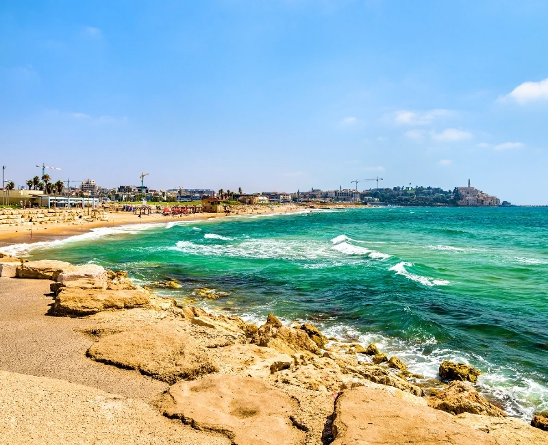 Mediterranean Beach Life