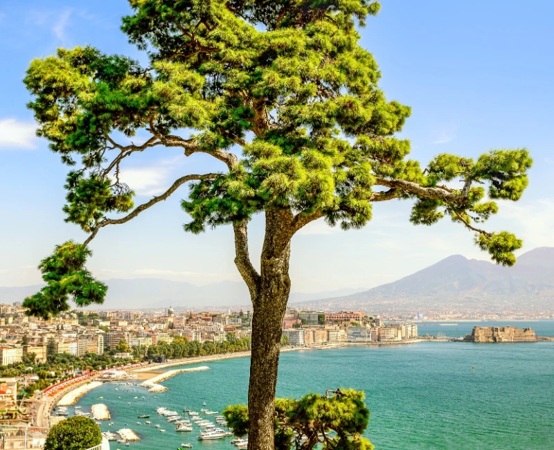 Coastal Escapes and Beaches