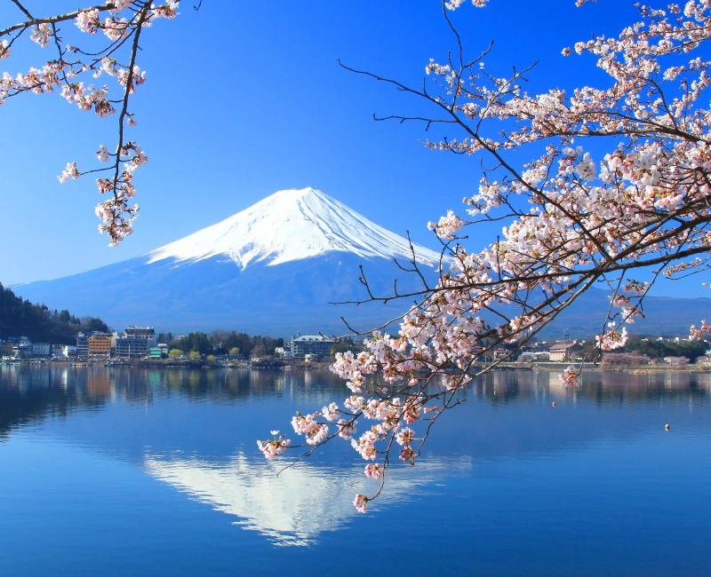 Scenic Excursions Outside Tokyo