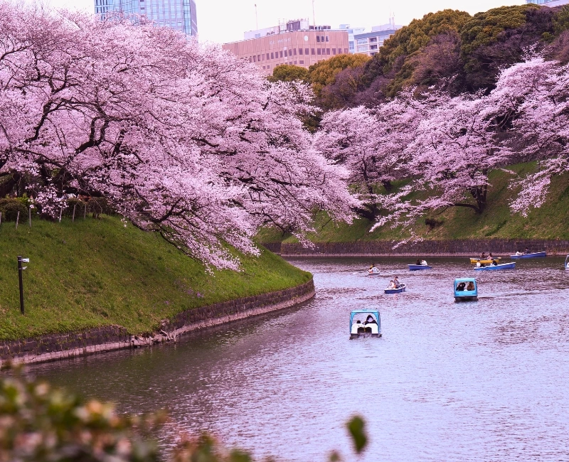 Seasonal Festivals and Outdoor Activities