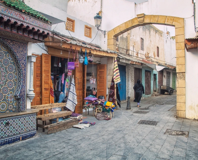 Medina Souks and Artisan Workshops
