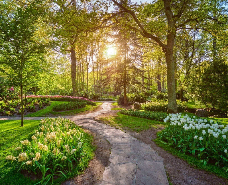 Day Trip to Keukenhof and Flower Regions