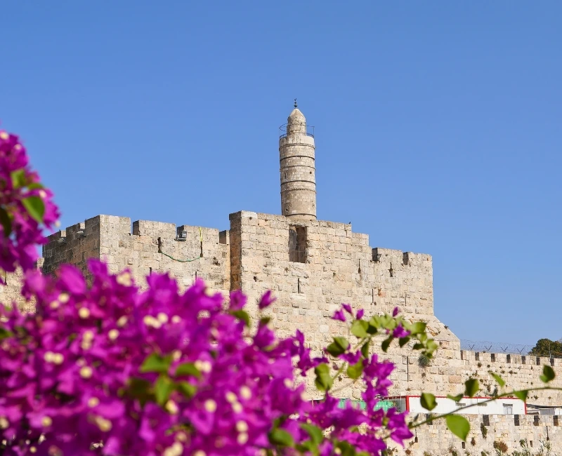 Nightlife & Cultural Events