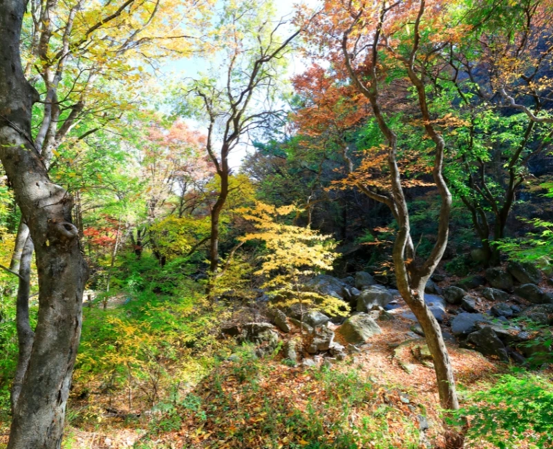 Hiking and Cycling in Franciacorta Hills