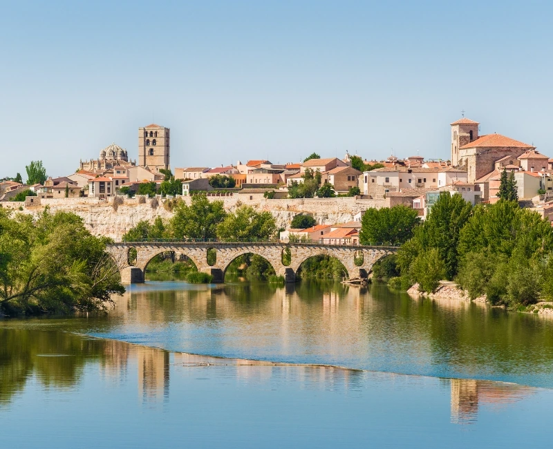 Tapas and Traditions: Culinary Journey Through Burgos