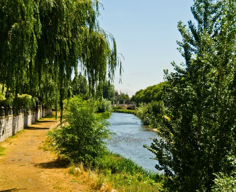 Hiking Sierra de la Demanda and Natural Parks