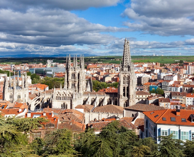 Seasonal Highlights and Practical Tips