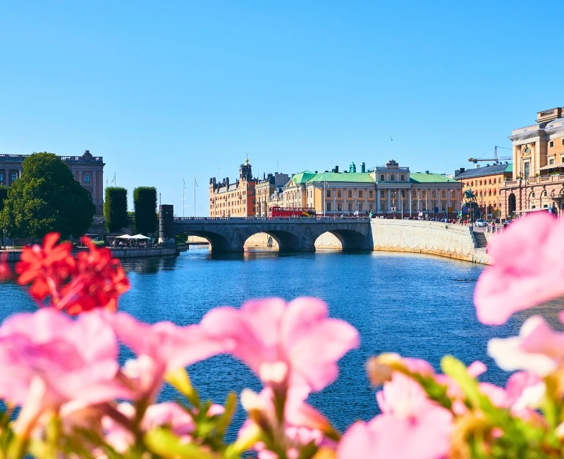 Embracing Seasonal Activities & Festivals