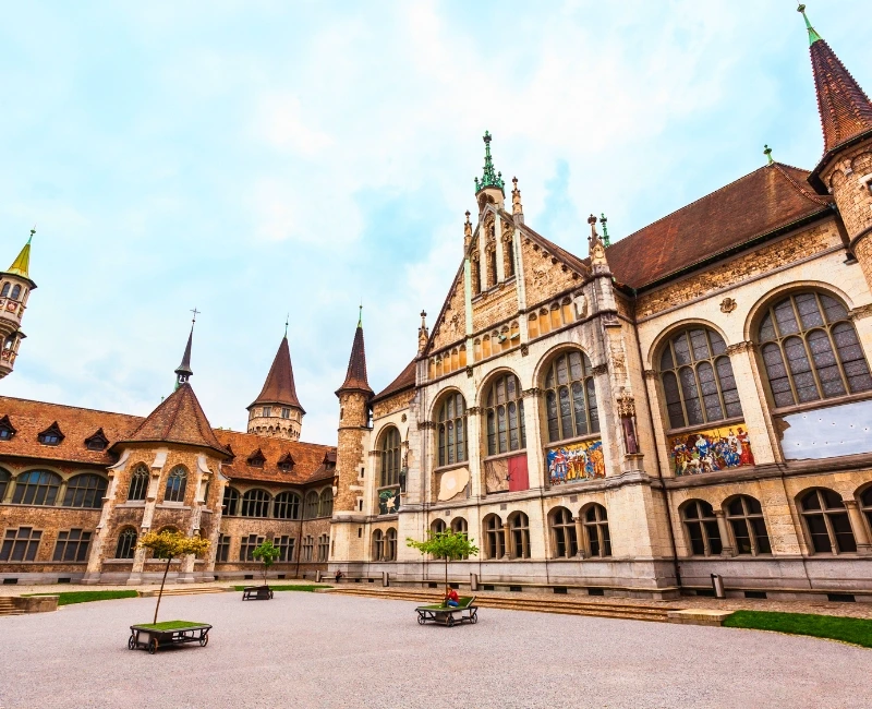 Museums, Art, and Performance